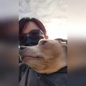 Meet your Posher, Ellen